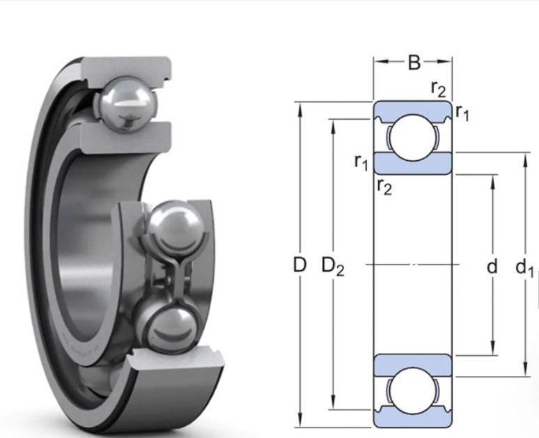 6319 SKF